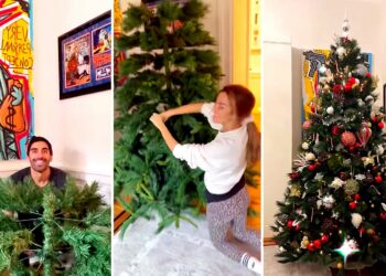 Palmas e Magnini fanno l'albero di Natale