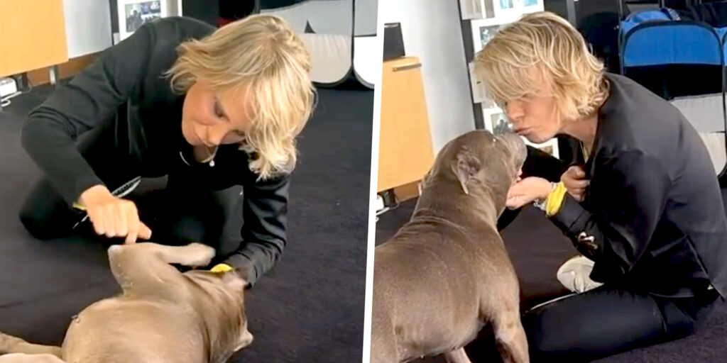 Maria De Filippi dolcissima con il cane Saki dopo la morte di Costanzo: le tenerissime immagini Maria De Filippi dolcissima con il cane Saki dopo la morte di Costanzo: le tenerissime immagini