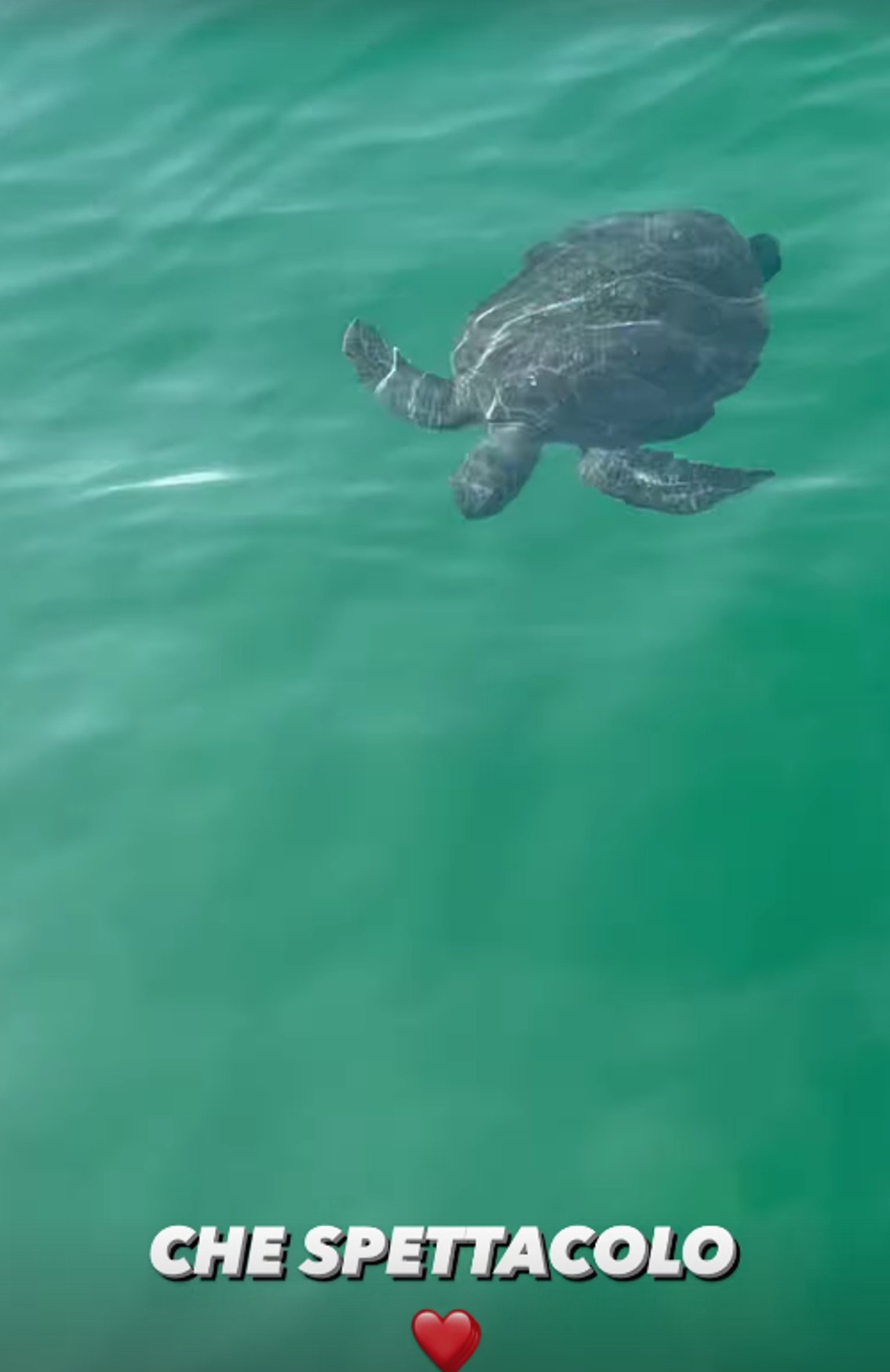 Francesco con la moglie e i due figli nell'isola di