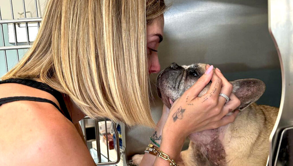 Morta la ''prima bambina'' di Chiara Ferragni e Fedez: il dolore social Morta la ''prima bambina'' di Chiara Ferragni e Fedez: il dolore social