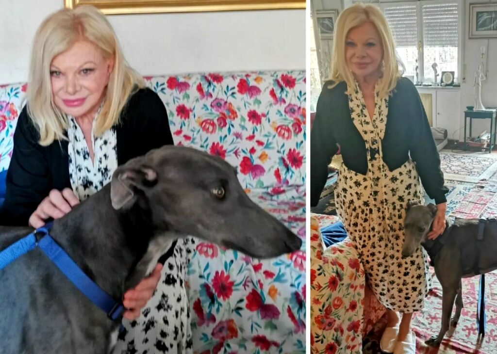 ''Uno accostava il muso alla bara, l’altra tremava come una foglia'': i cani di Sandra Milo hanno guaito disperati dopo la morte dell’attrice, il racconto della figlia ''Uno accostava il muso alla bara, l’altra tremava come una foglia'': i cani di Sandra Milo hanno guaito disperati dopo la morte dell’attrice, il racconto della figlia