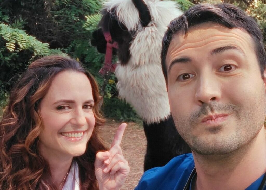 Morto a soli 37 anni il veterinario Dottor Pet, il dolore dell'ex moglie di Raoul Bova che aveva lavorato con lui in tv: le parole di Chiara Giordano Morto a soli 37 anni il veterinario Dottor Pet, il dolore dell'ex moglie di Raoul Bova che aveva lavorato con lui in tv: le parole di Chiara Giordano