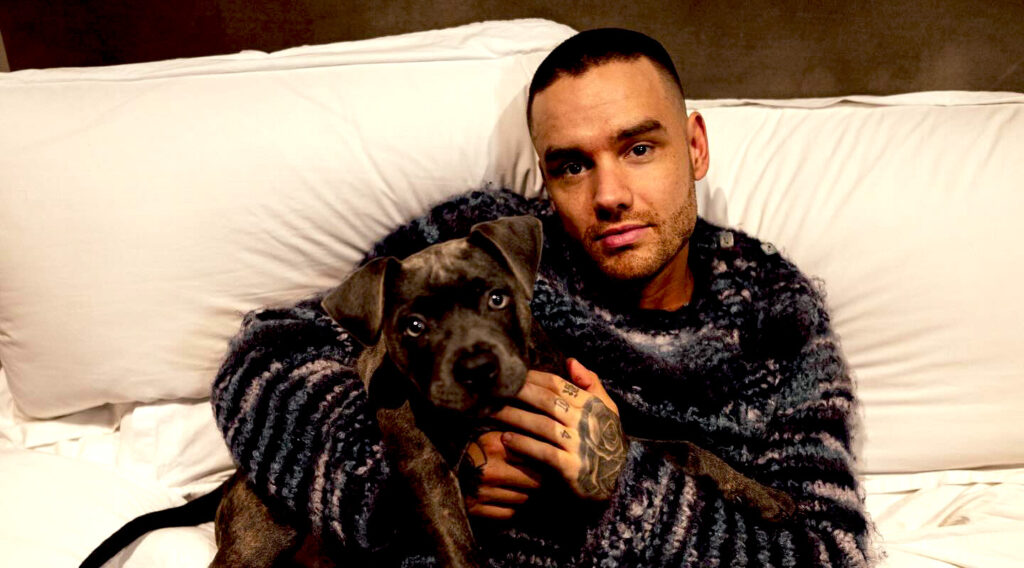 Morto a soli 31 anni il cantante Liam Payne ex degli 'One Direction' Morto a soli 31 anni il cantante Liam Payne ex degli 'One Direction'