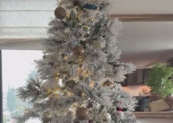 Elisabetta Canalis mostra il suo albero di Natale 'storto'