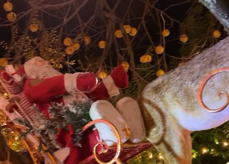 Antonella Clerici mostra i suoi addobbi natalizi Antonella Clerici mostra i suoi addobbi natalizi