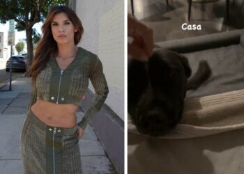 Elisabetta Canalis e Georgian Cimpeanu si sono davvero lasciati? Le nuove immagini da Los Angeles dicono il contrario: ecco perché