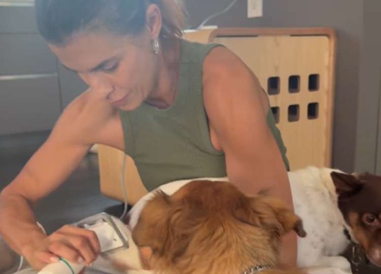 Elisabetta Canalis tosa e lava i suoi cani in casa a Los Angeles