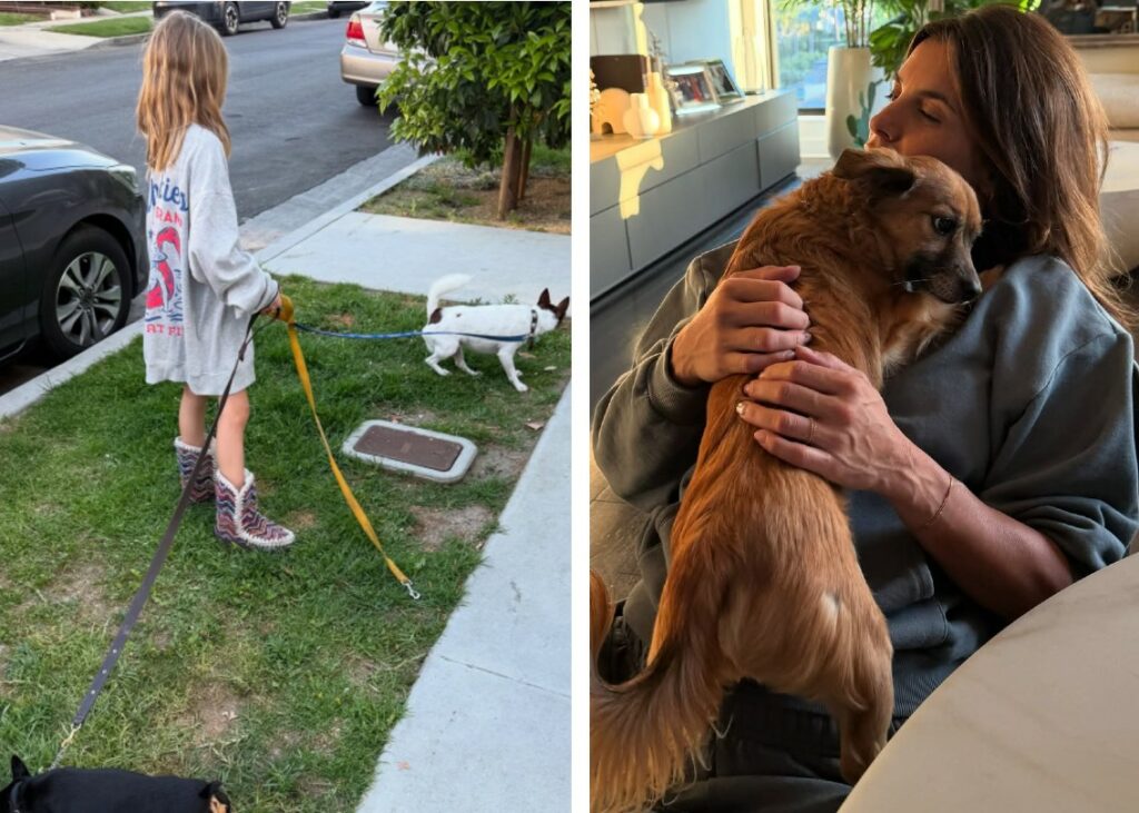 Muore il cane di Elisabetta Canalis, la figlia porta lo stesso il suo guinzaglio fuori: lo scatto del commovente gesto della piccola Skyler Eva Muore il cane di Elisabetta Canalis, la figlia porta lo stesso il suo guinzaglio fuori: lo scatto del commovente gesto della piccola Skyler Eva