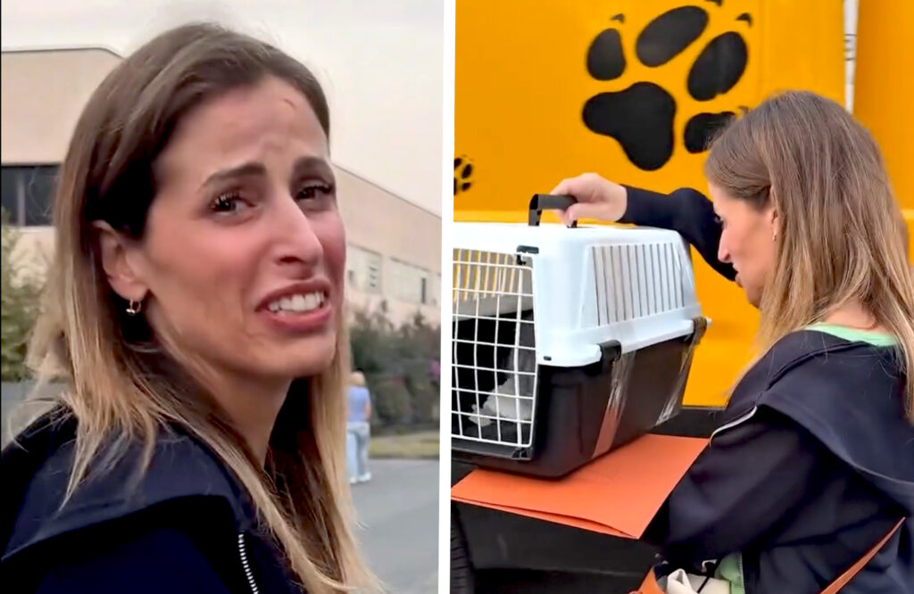 ''Mi viene da piangere'': Clio MakeUp va a prendere il gattino che ha salvato e si commuove