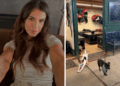 Elisabetta Canalis aggiorna i suoi followers sulla salute del cane che ha salvato