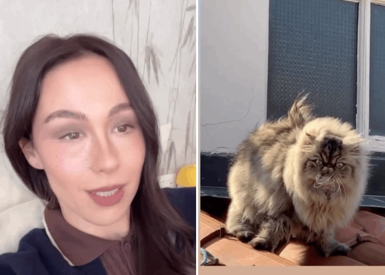 Aurora Ramazzotti è triste: il suo gatto non vuole più vivere con lei Aurora Ramazzotti è triste: il suo gatto non vuole più vivere con lei