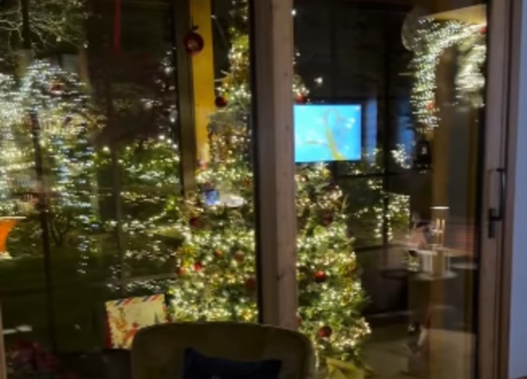 Antonella Clerici mostra i suoi meravigliosi addobbi natalizi Antonella Clerici mostra i suoi meravigliosi addobbi natalizi