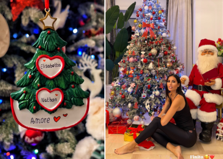 Elisabetta Gregoraci mostra il suo albero di Natale favoloso Elisabetta Gregoraci mostra il suo albero di Natale favoloso