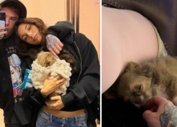 Fedez pubblica una rara immagine con la fidanzata Giulia Honegger e svela il pancino: sarà padre per la terza volta, è ufficiale Fedez pubblica una rara immagine con la fidanzata Giulia Honegger e svela il pancino: sarà padre per la terza volta, è ufficiale