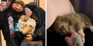 Fedez pubblica una rara immagine con la fidanzata Giulia Honegger e svela il pancino: sarà padre per la terza volta, è ufficiale